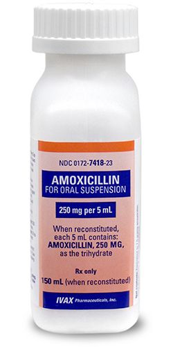 Amoxicilline 250 mg prix