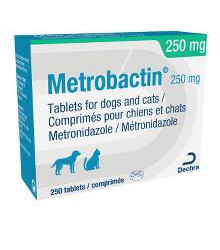 achat amoxicilline chat