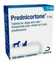 Prednisolone 20 prix