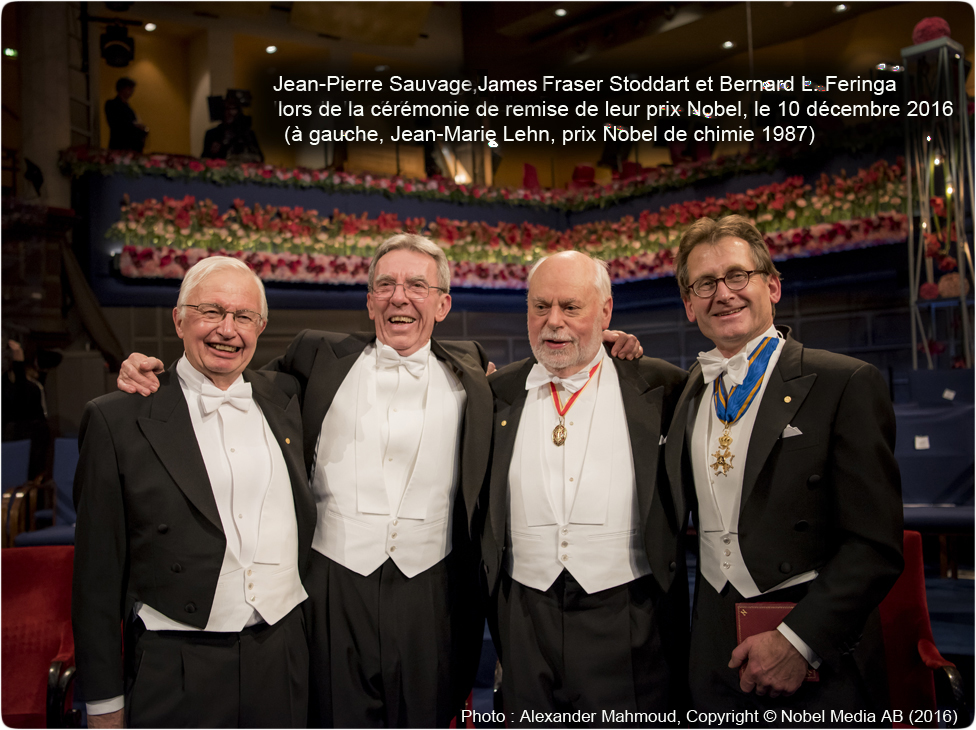 Prix nobel viagra