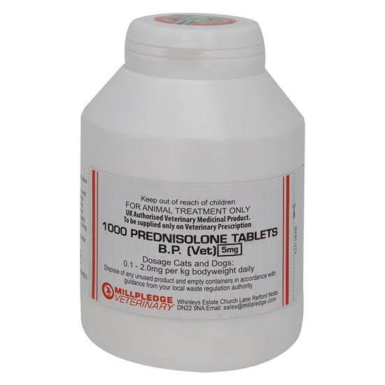 prednisolone vet online