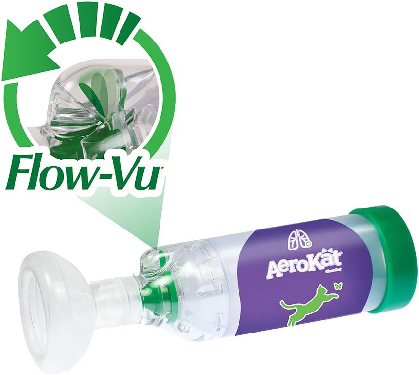 Salbutamol spray prix