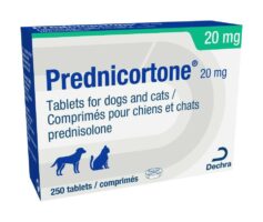 Prednisolone 20 mg sans ordonnance