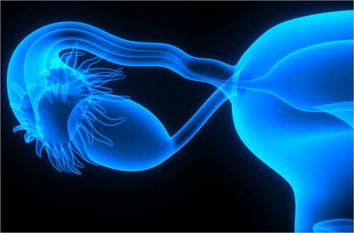 Peut On Avoir Clomid Sans Ordonnance