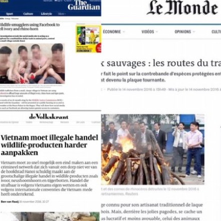 Prix du ventolin