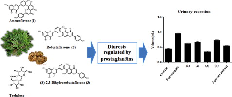 Furosemide nom generique