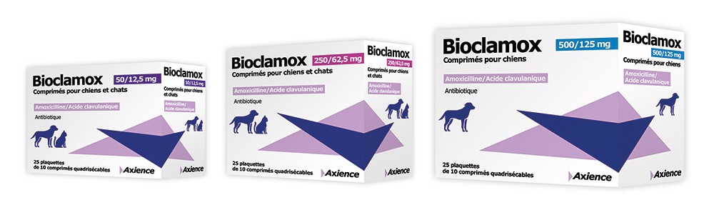 Amoxil achat