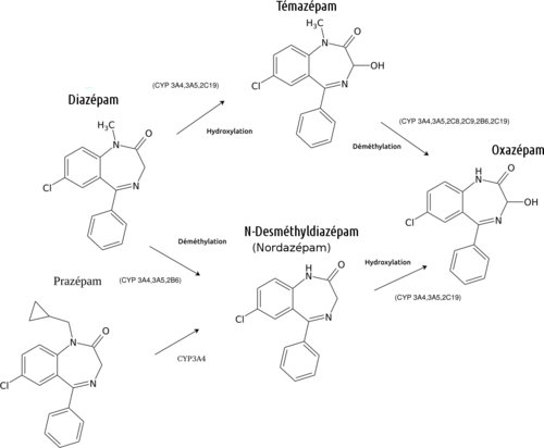 Diazépam pharmacie online