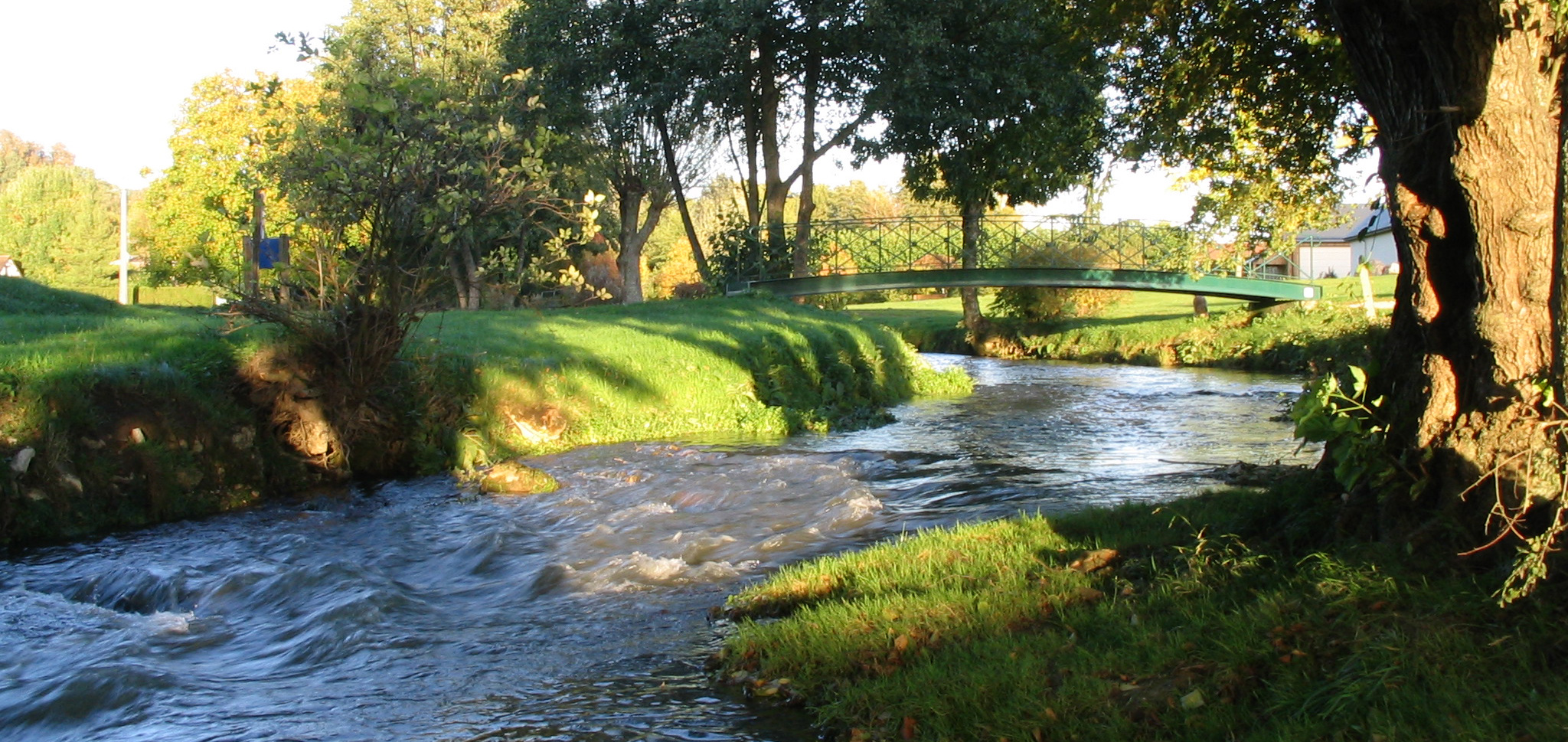 Isotrex Générique
