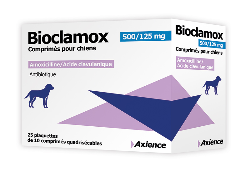 amoxicilline vente en ligne