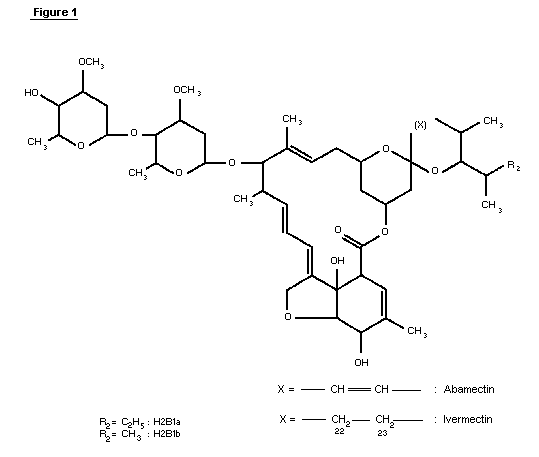 Ivermectine eg 3mg