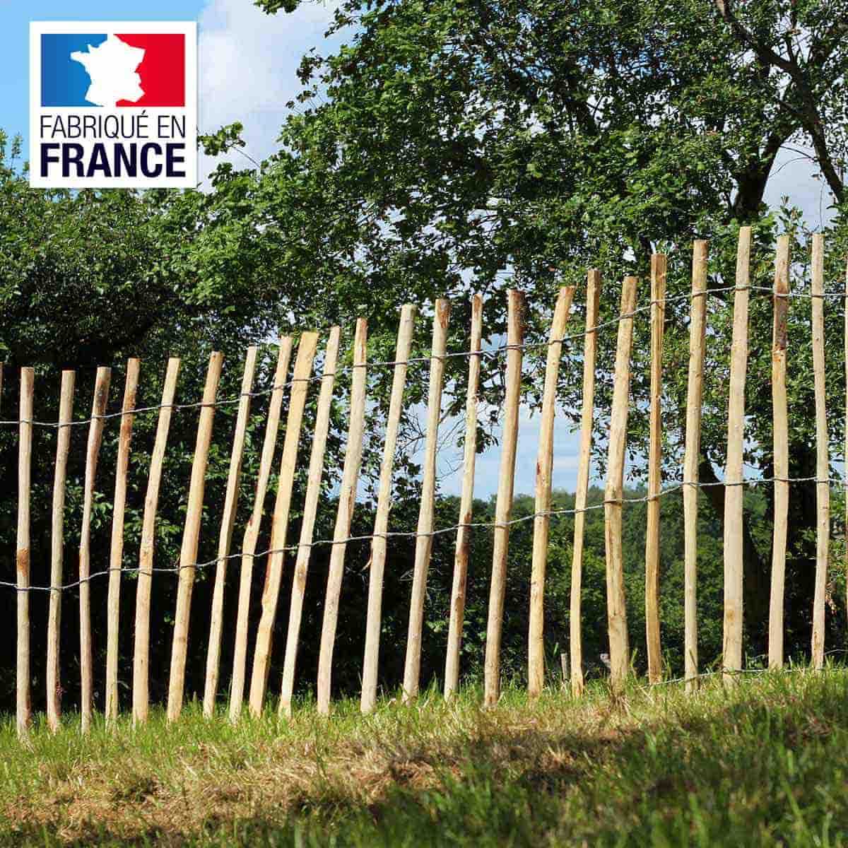 Coût du super p-force