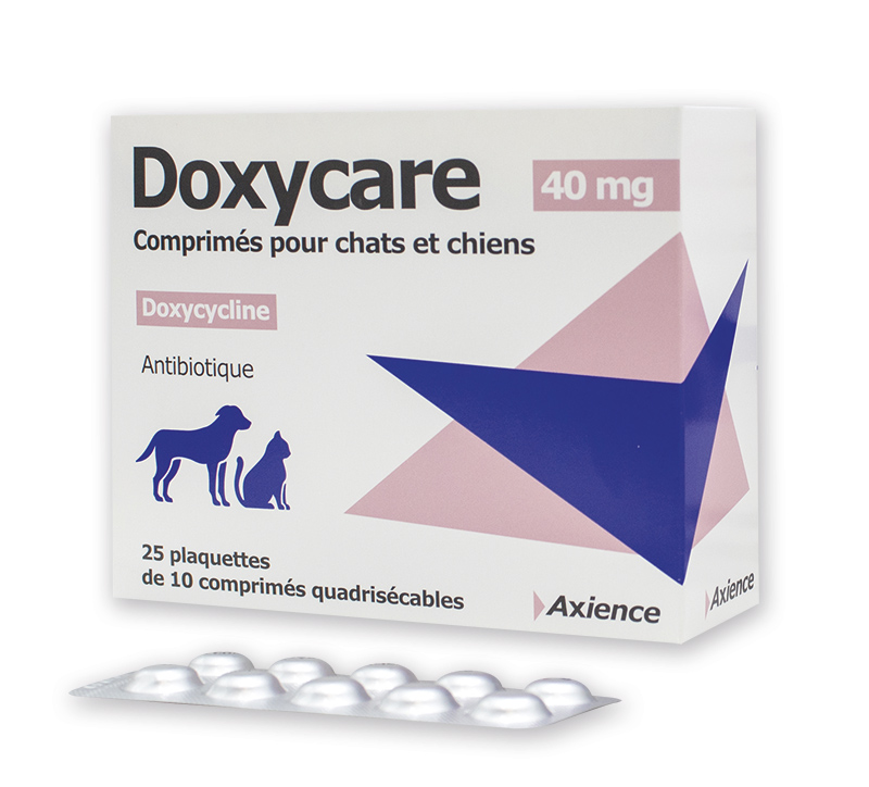 Commander doxycycline générique