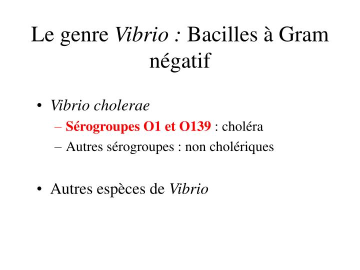 Amoxicilline Zydus France