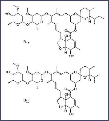 Ivermectine 3 mg vidal