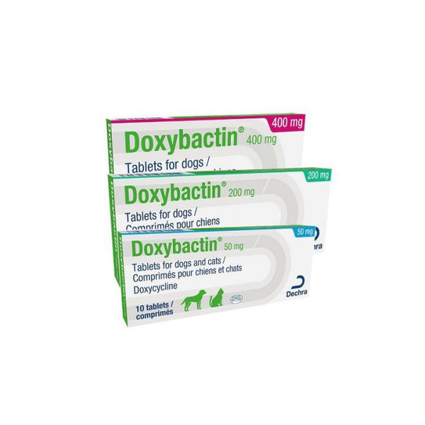 Achat de doxycycline