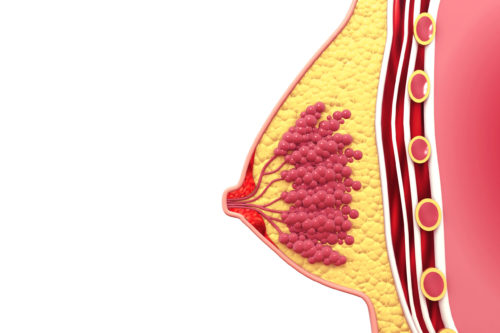Adipex p pilule