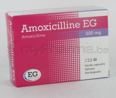 Amoxicilline 500 mg pour quoi