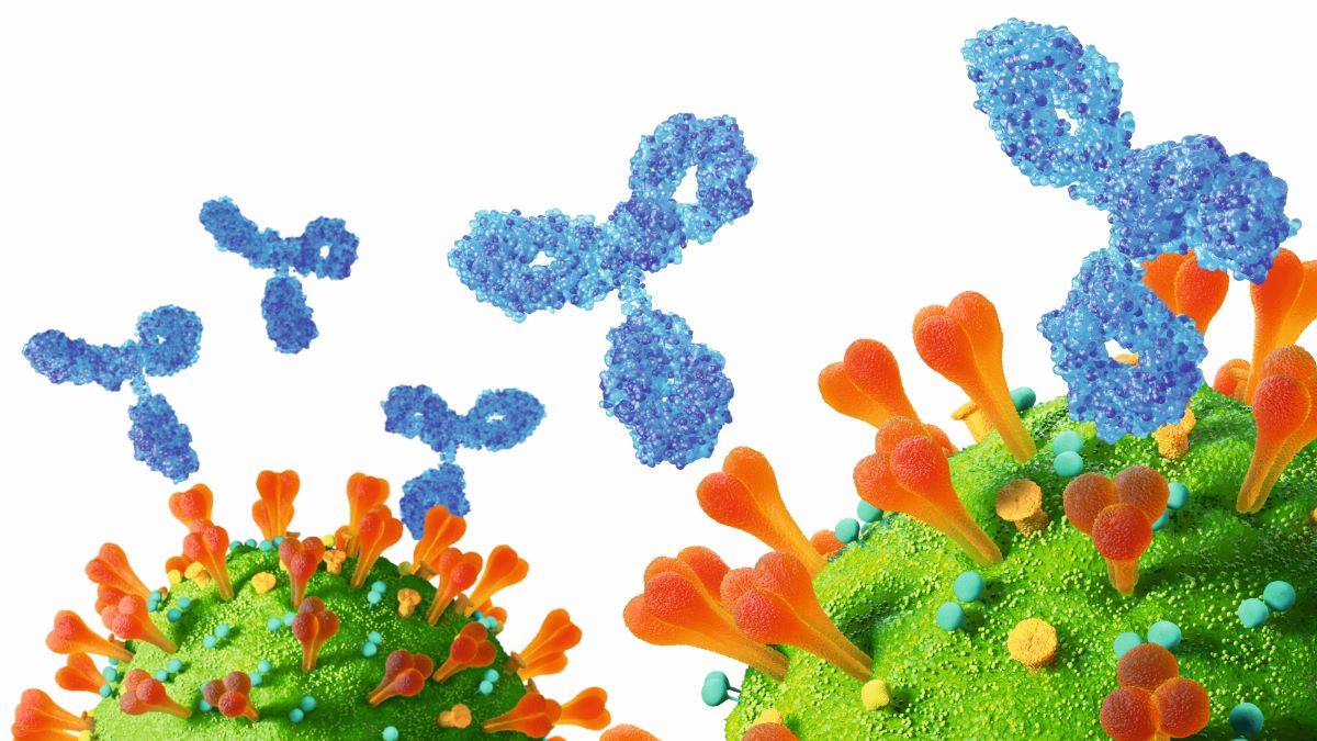 ventolin nebules online
