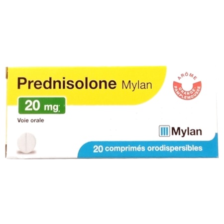 coût du prednisolone