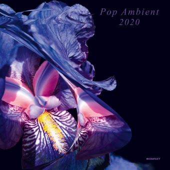Ambien prix