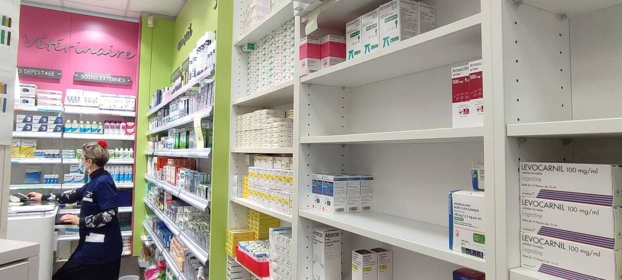 Où acheter du amoxicilline