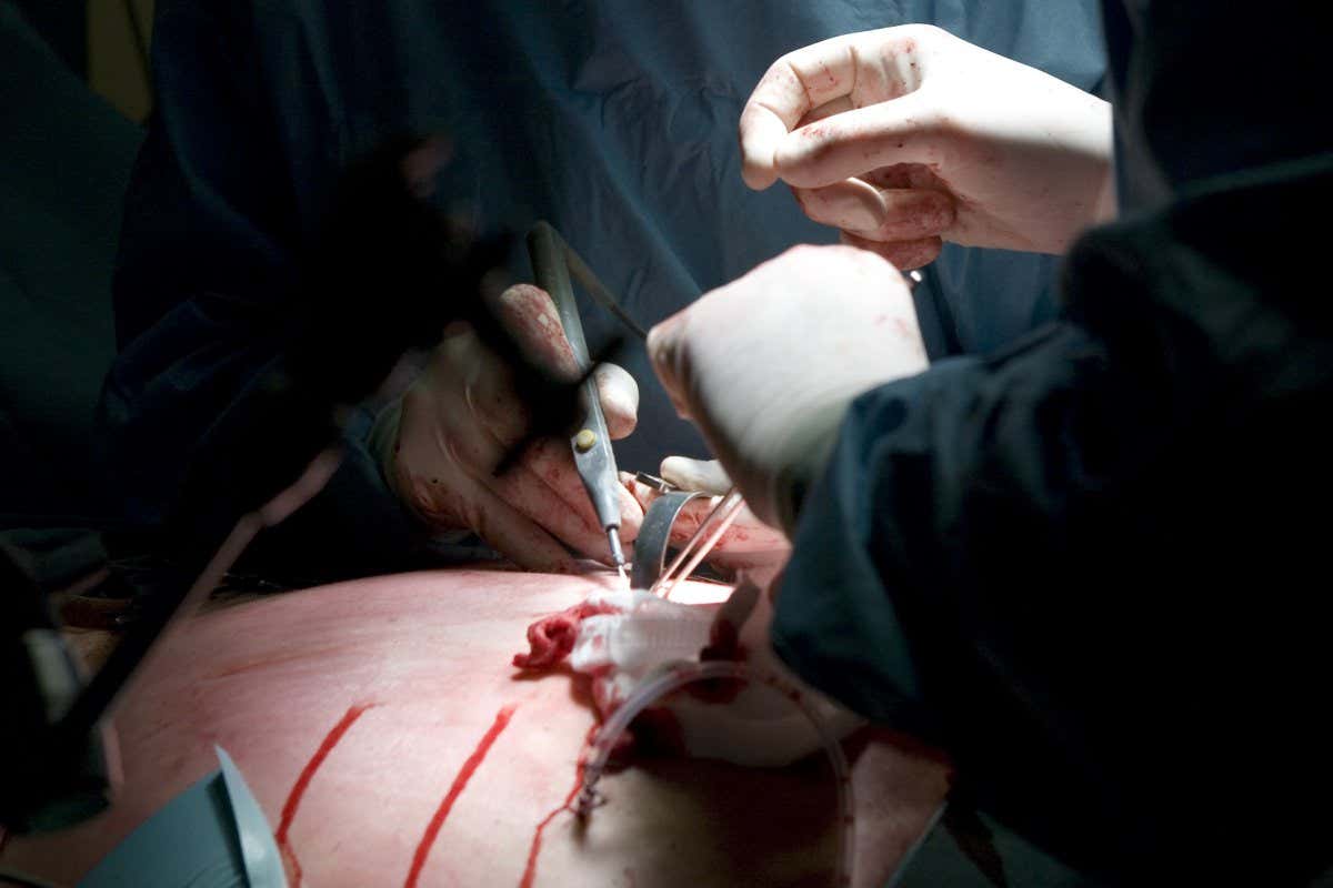 phentermine in france