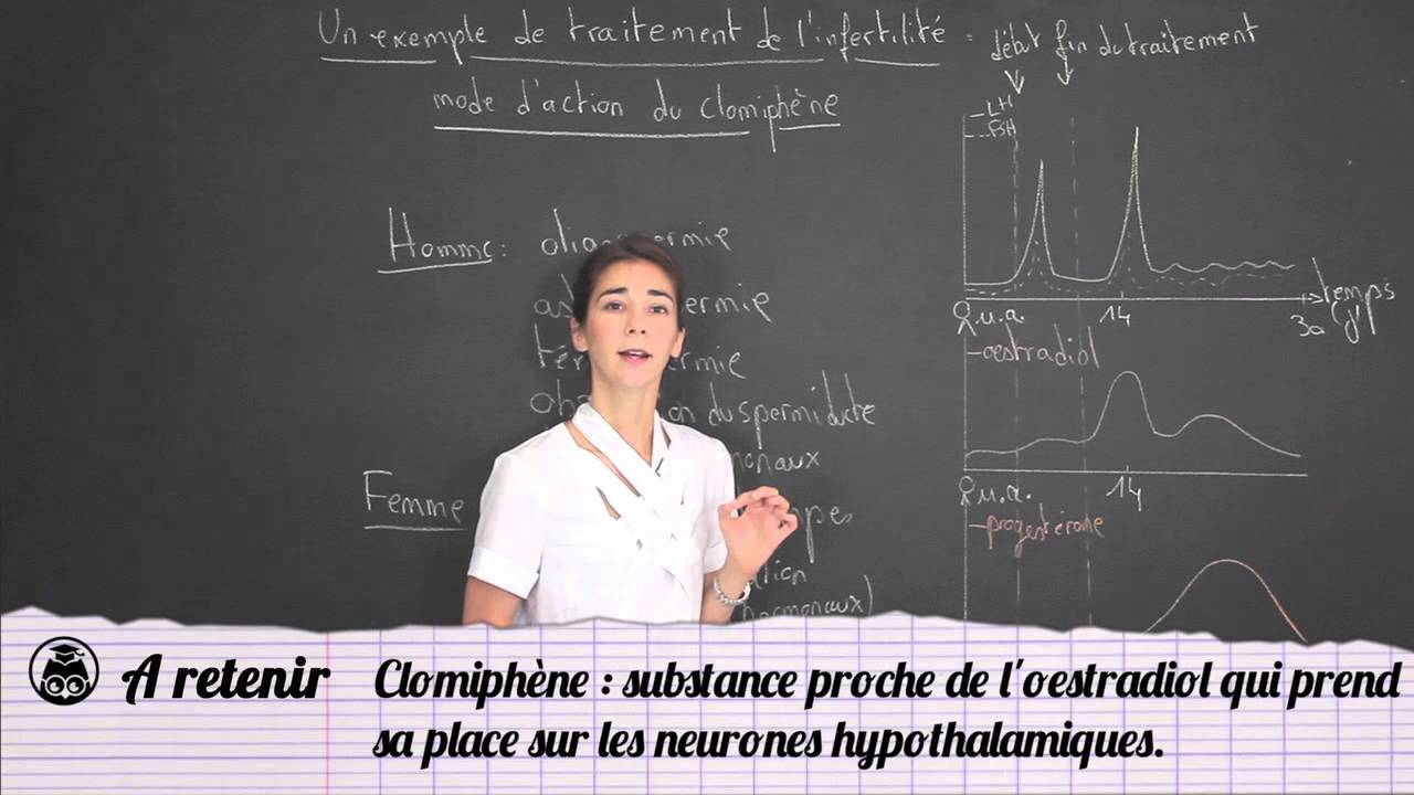 Prix clomiphene