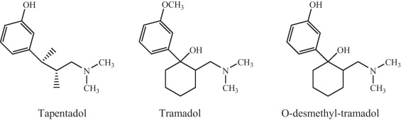 tapentadol achat france