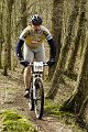 _DSC0343