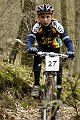 _DSC0353