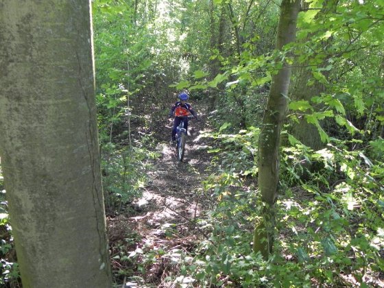 Lien vers image en grand format (ouverture nouvelle fen&ecirc;tre)