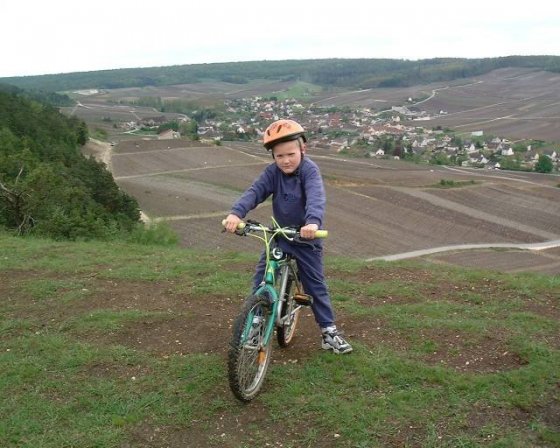 Lien vers image en grand format (ouverture nouvelle fen&ecirc;tre)